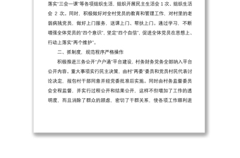 2021村黨總支書記個(gè)人工作總結(jié)