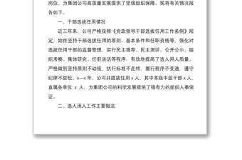 2021企業(yè)選人用人工作專題報告2篇