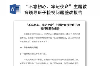 2021“不忘初心、牢記使命”主題教育領導班子檢視問題整改報告