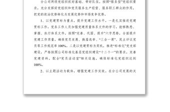 2021黨委自查總結報告