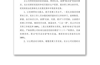 2021黨委自查總結(jié)報告