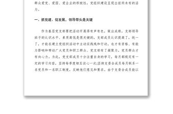 2020年-公司黨支部“抓黨建、促發展”經驗材料