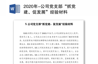 2020年-公司党支部“抓党建、促发展”经验材料