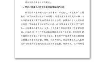 2021“不忘初心，牢記使命”主題教育個人對照檢查檢視問題、反思根源、制定整改情況匯報