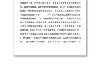 2021公司黨支部20XX年換屆選舉工作報(bào)告