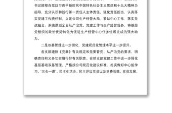 2021黨委書記在履行全面從嚴(yán)治黨責(zé)任暨抓黨建工作述職評(píng)議會(huì)議上的發(fā)言
