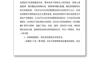 2021嚴(yán)肅黨的組織生活專項(xiàng)檢查自查報(bào)告