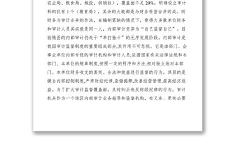 2021內(nèi)部審計(jì)工作經(jīng)驗(yàn)交流