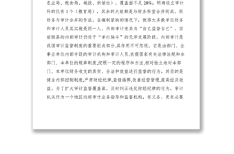 2021內(nèi)部審計(jì)工作經(jīng)驗(yàn)交流
