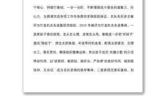 2021黨建引領持續固本強基  搶抓機遇驅動提檔升級  努力推進黨支部建設取得新成效黨總支工作總結