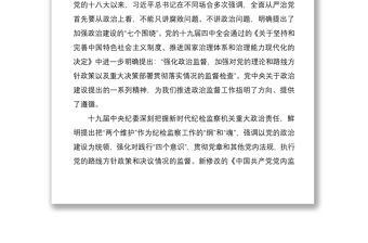 2021政治監(jiān)督工作三年工作總結范文