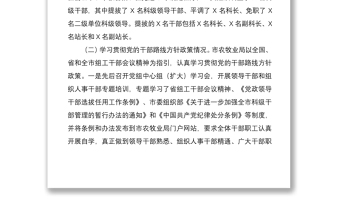 2021關(guān)于干部選拔任用工作的專題報(bào)告