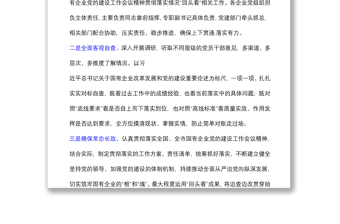 全國國有企業(yè)黨的建設(shè)工作會(huì)議精神貫徹落實(shí)“回頭看”情況報(bào)告范文