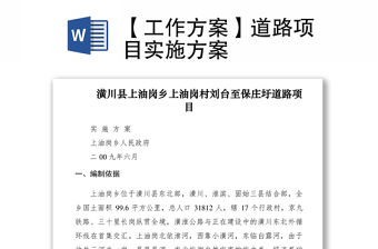 2021【工作方案】道路項目實施方案