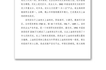 2021【工作方案】道路項目實施方案