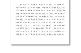 2021“一支部一特色”黨建品牌創建推動強村富民活動實施方案