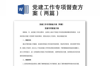 2021黨建工作專項督查方案（兩篇）