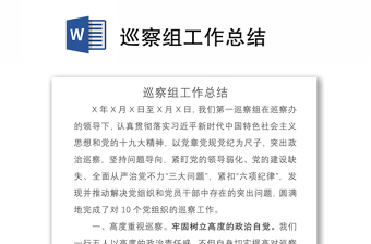 2021巡察組工作總結(jié)