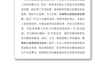 2021巡察組工作總結(jié)