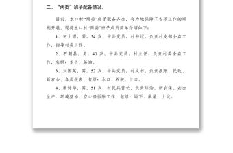 2021【調研報告】村兩委班子專項調研報告