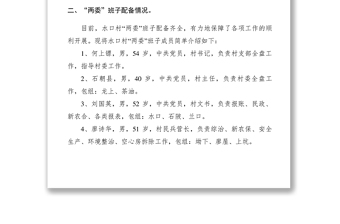 2021【調(diào)研報告】村兩委班子專項調(diào)研報告