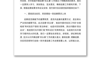 2021在巡察回頭看工作動員會上的表態(tài)發(fā)言