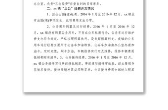 2021XXXX年鄉(xiāng)鎮(zhèn)三公經(jīng)費(fèi)支出情況專項(xiàng)檢查工作自查報(bào)告