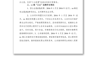 2021XXXX年鄉(xiāng)鎮(zhèn)三公經(jīng)費(fèi)支出情況專項(xiàng)檢查工作自查報(bào)告