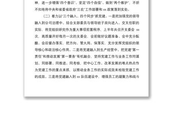 2020年上半年全面從嚴治黨主體責任報告