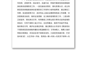 稅務局黨委書記2020年度抓黨建工作述職報告范文