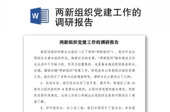 2021兩新組織黨建工作的調研報告