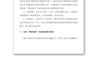 2021兩新組織黨建工作的調(diào)研報告