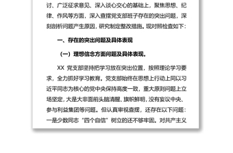 黨支部2019年主題教育專題組織生活會班子檢視問題清單及整改措施2篇