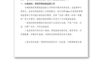 2021監(jiān)察審計(jì)部燃料專項(xiàng)效能工作報(bào)告