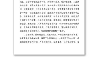 2020年一季度黨建工作總結（xx局）（黨建總結、黨建匯報）