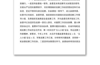 2021巡察工作開展情況匯報