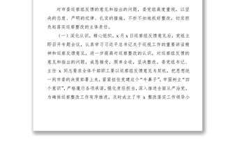 2021落實巡察組反饋意見整改情況的報告（xx黨組）（巡察整改報告）