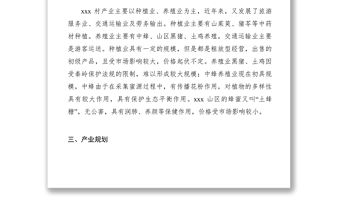 2021村級產業(yè)發(fā)展規(guī)劃