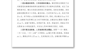 2021【紀委督查報告】疫情防控督查情況報告