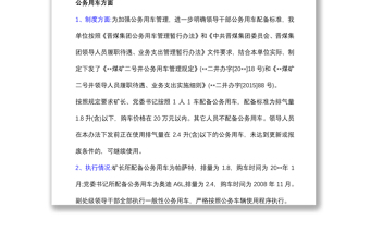 (3篇)企業(yè)負責人履職待遇自查報告