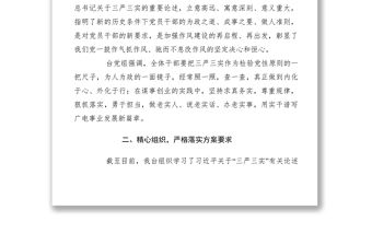 2021【黨建材料】黨總支開展三嚴(yán)三實(shí)學(xué)習(xí)教育活動總結(jié)