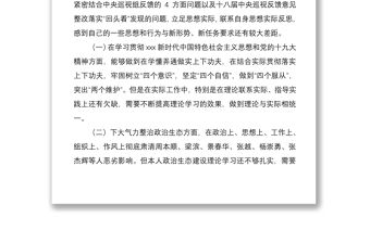 2021分管領導班子成員巡視整改專題生活會個人對照檢查材料范文