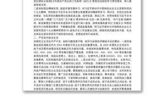 巡視整改專題民主生活會整改方案落實情況報告參考范文