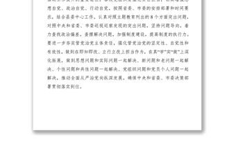 2021主題教育問題檢視整改方案