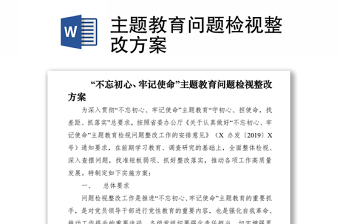 2021主題教育問題檢視整改方案