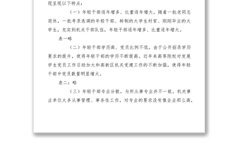 2021年輕干部隊(duì)伍建設(shè)研究調(diào)研報告