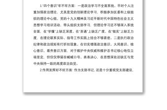 2021黨支部書記專題組織生活會個人對照檢查和總結(jié)講話