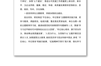 2020年上半年全面從嚴(yán)治黨主體責(zé)任落實(shí)情況匯報(bào)三篇