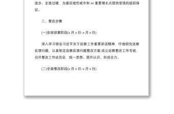 2021某市基層黨組織建設(shè)巡察反饋問題整改措施方案