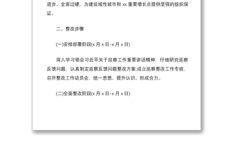 2021某市基层党组织建设巡察反馈问题整改措施方案